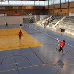 Le tambourin prend possession du Palais des Sports
